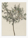 "Fruit Tree" Art Print_Sugar & Canvas_Karl Wiener
