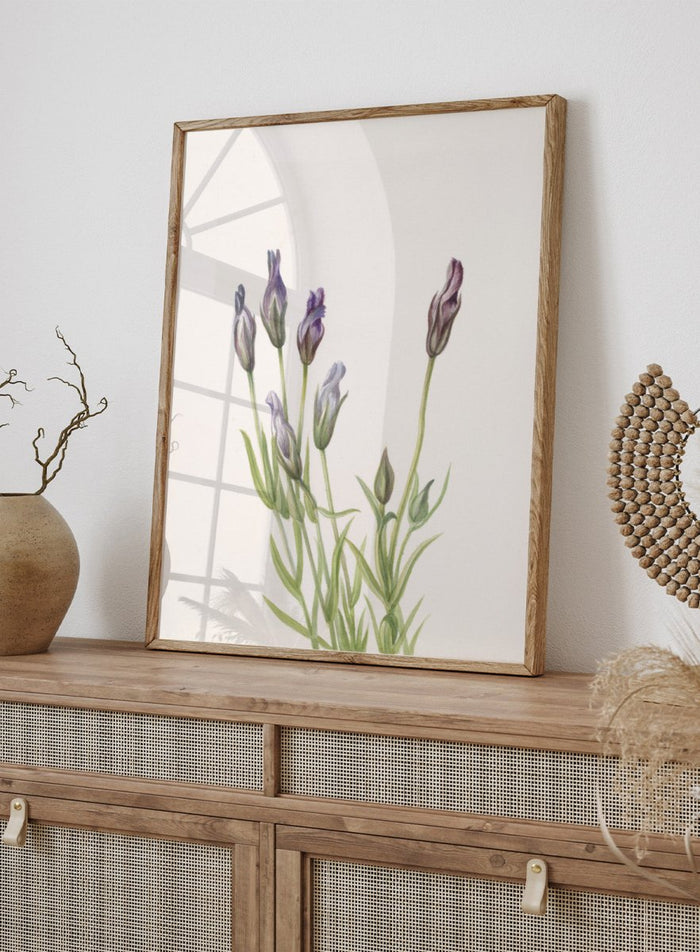 "Gentian" Art Print_Sugar & Canvas_Mary Vaux Walcott