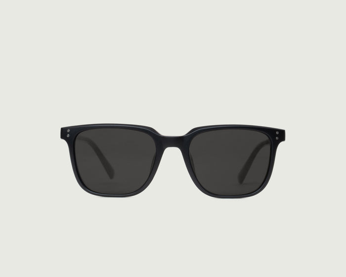 Midnight Polarized / Black