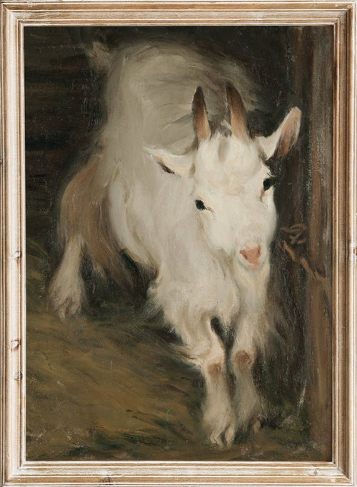 "He-Goat" Art Print_Sugar & Canvas_Ernst Küsel