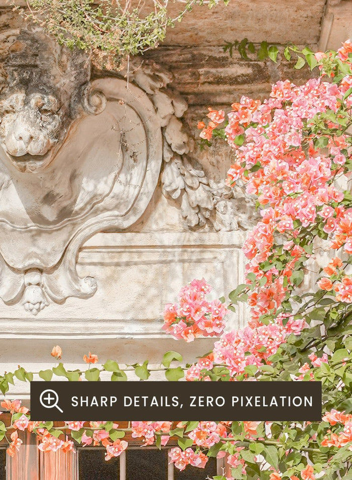 Wooden door with floral decorations on a building facade. Floral Entry by Henrike Schenk is a Mediterranean photography print featuring an old European doorway, blooming flowers, and historic architecture.