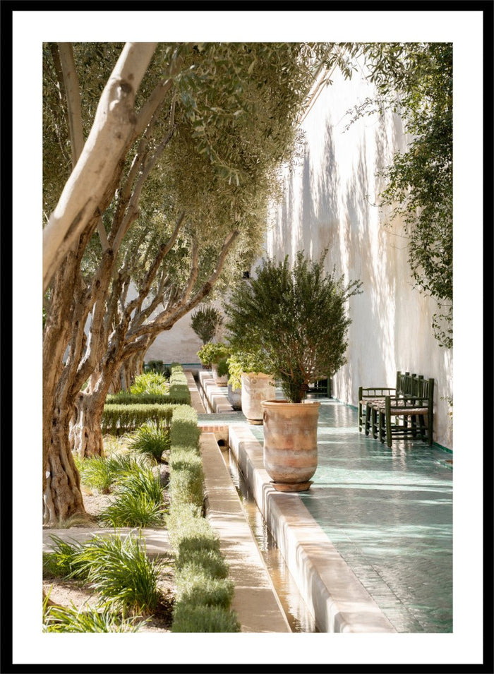 Garden pathway with trees, plants, and a building in the background. Mediterranean Garden Courtyard by Henrike Schenk is a travel photography print featuring olive trees, terracotta pots, tiled walkways, and a Moroccan garden.