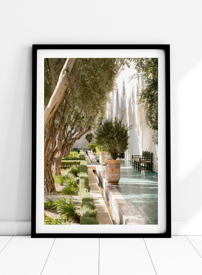 Garden pathway with trees, plants, and a building in the background. Mediterranean Garden Courtyard by Henrike Schenk is a travel photography print featuring olive trees, terracotta pots, tiled walkways, and a Moroccan garden.