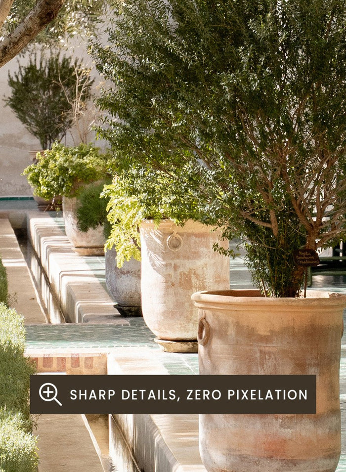 Garden pathway with trees, plants, and a building in the background. Mediterranean Garden Courtyard by Henrike Schenk is a travel photography print featuring olive trees, terracotta pots, tiled walkways, and a Moroccan garden.