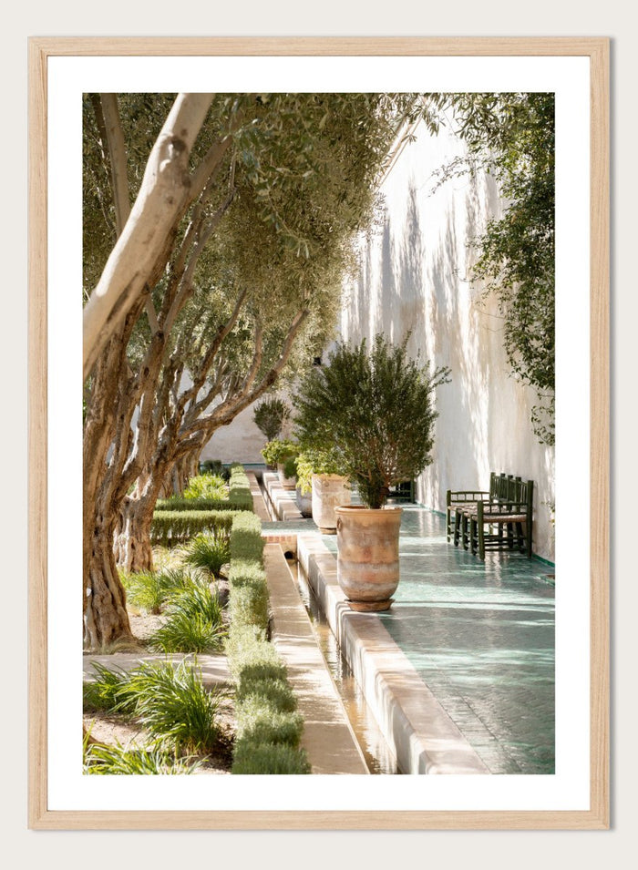Garden pathway with trees, plants, and a building in the background. Mediterranean Garden Courtyard by Henrike Schenk is a travel photography print featuring olive trees, terracotta pots, tiled walkways, and a Moroccan garden.