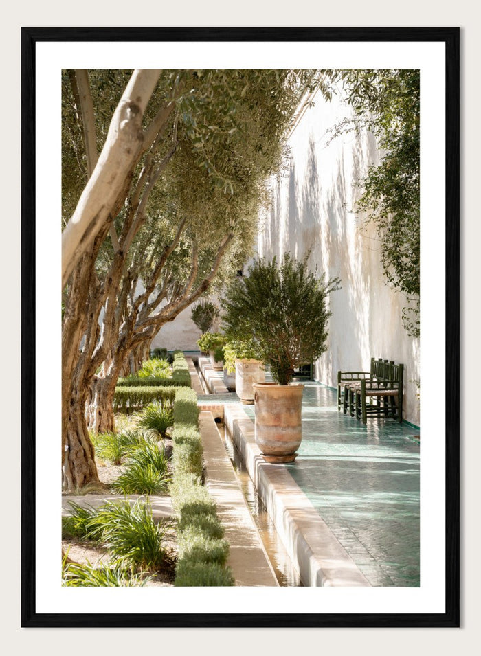 Garden pathway with trees, plants, and a building in the background. Mediterranean Garden Courtyard by Henrike Schenk is a travel photography print featuring olive trees, terracotta pots, tiled walkways, and a Moroccan garden.