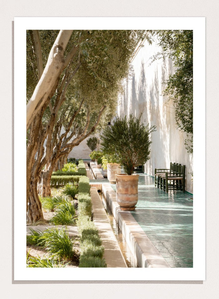 Garden pathway with trees, plants, and a building in the background. Mediterranean Garden Courtyard by Henrike Schenk is a travel photography print featuring olive trees, terracotta pots, tiled walkways, and a Moroccan garden.