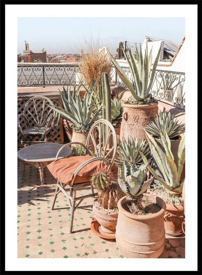Potted plants on a balcony with a cityscape in the background. Moroccan Cactus Patio by Henrike Schenk captures a Moroccan rooftop terrace with cacti, terracotta pots, and desert-inspired photography wall art.