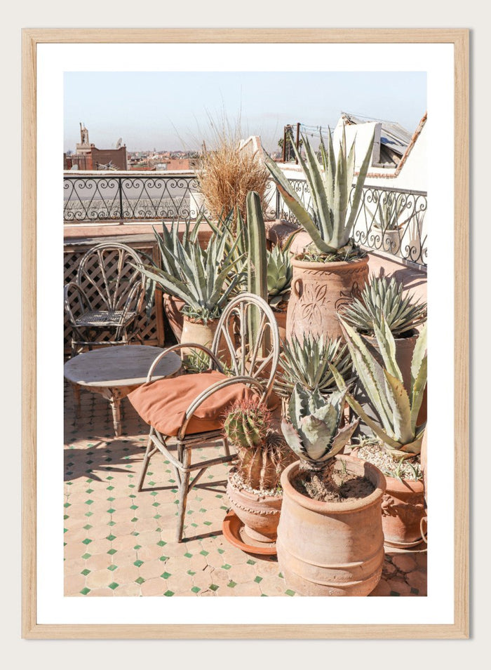 Potted plants on a balcony with a cityscape in the background. Moroccan Cactus Patio by Henrike Schenk captures a Moroccan rooftop terrace with cacti, terracotta pots, and desert-inspired photography wall art.