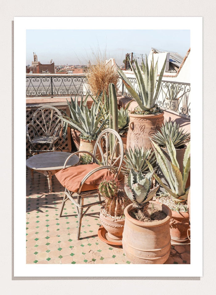 Potted plants on a balcony with a cityscape in the background. Moroccan Cactus Patio by Henrike Schenk captures a Moroccan rooftop terrace with cacti, terracotta pots, and desert-inspired photography wall art.