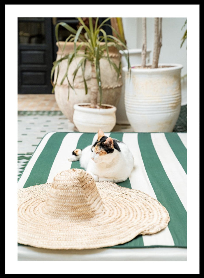 Cat lying on a green and white striped towel with a straw hat nearby, potted plants in the background. Patio Cat and Straw Hat by Henrike Schenk is a Mediterranean photography print featuring a cat, striped lounge chair, courtyard decor, and summer travel style.