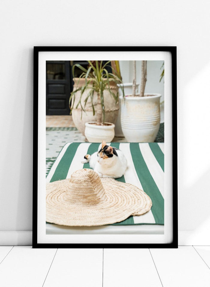 Cat lying on a green and white striped towel with a straw hat nearby, potted plants in the background. Patio Cat and Straw Hat by Henrike Schenk is a Mediterranean photography print featuring a cat, striped lounge chair, courtyard decor, and summer travel style.