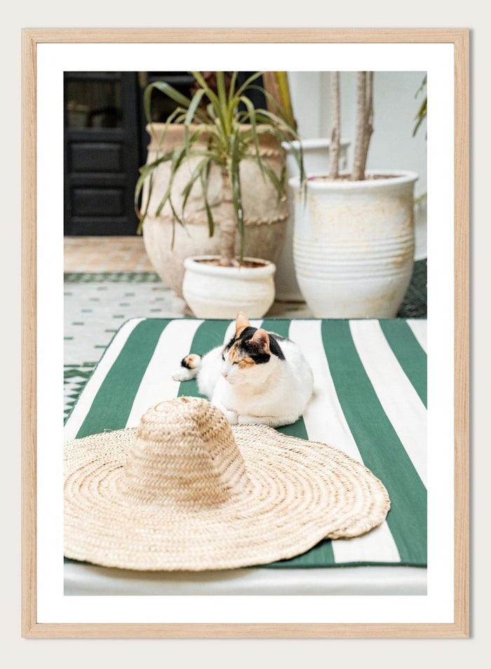 Cat lying on a green and white striped towel with a straw hat nearby, potted plants in the background. Patio Cat and Straw Hat by Henrike Schenk is a Mediterranean photography print featuring a cat, striped lounge chair, courtyard decor, and summer travel style.