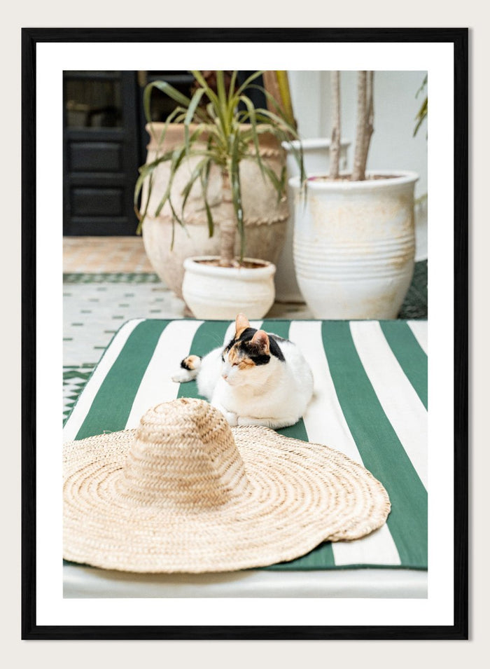 Cat lying on a green and white striped towel with a straw hat nearby, potted plants in the background. Patio Cat and Straw Hat by Henrike Schenk is a Mediterranean photography print featuring a cat, striped lounge chair, courtyard decor, and summer travel style.