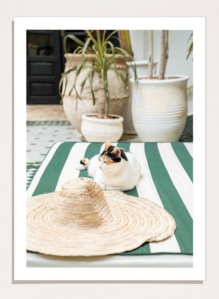 Cat lying on a green and white striped towel with a straw hat nearby, potted plants in the background. Patio Cat and Straw Hat by Henrike Schenk is a Mediterranean photography print featuring a cat, striped lounge chair, courtyard decor, and summer travel style.