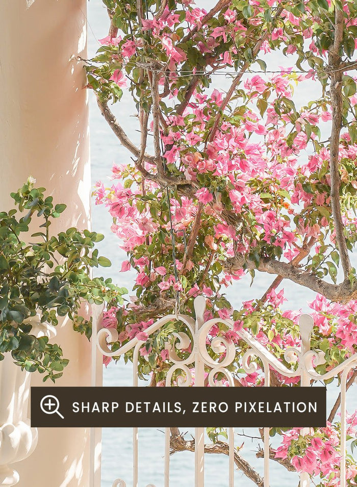 Outdoor seating area with flowers and ocean view. Pink Flowers Ocean View by Henrike Schenk is a coastal photography print featuring blooming flowers, Mediterranean architecture, ocean views, and soft natural light.