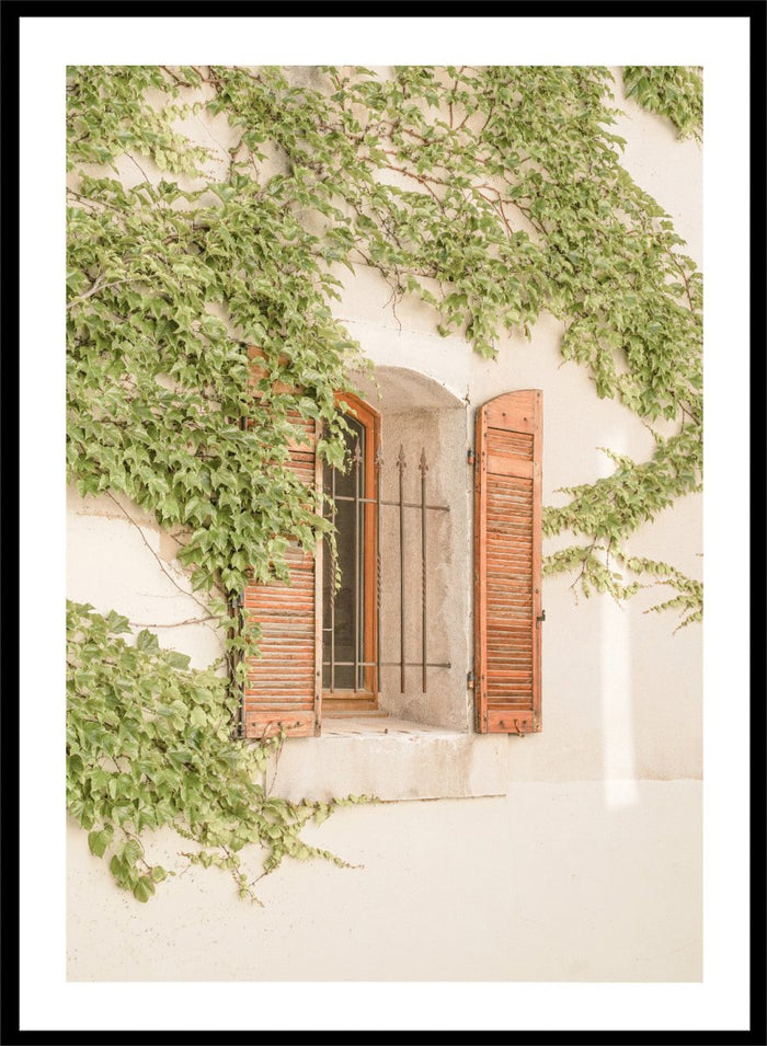 Window with wooden shutters framed by climbing ivy on a light-colored wall. Rustic Window With Ivy by Henrike Schenk is a European photography print featuring historic architecture, blooming flowers, and Mediterranean charm.
