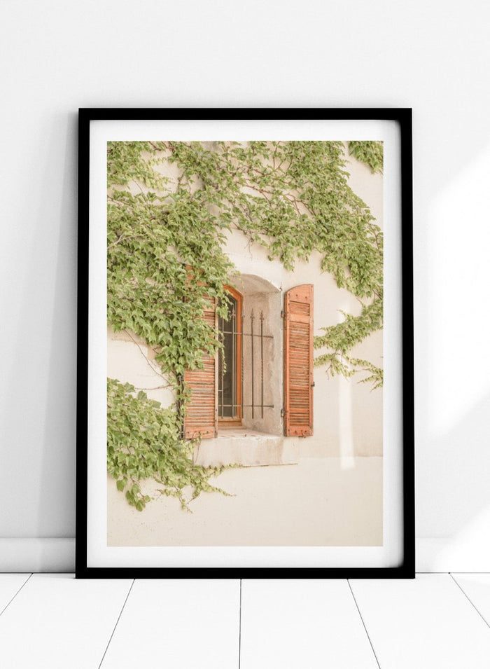 Window with wooden shutters framed by climbing ivy on a light-colored wall. Rustic Window With Ivy by Henrike Schenk is a European photography print featuring historic architecture, blooming flowers, and Mediterranean charm.