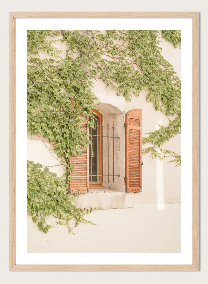 Window with wooden shutters framed by climbing ivy on a light-colored wall. Rustic Window With Ivy by Henrike Schenk is a European photography print featuring historic architecture, blooming flowers, and Mediterranean charm.