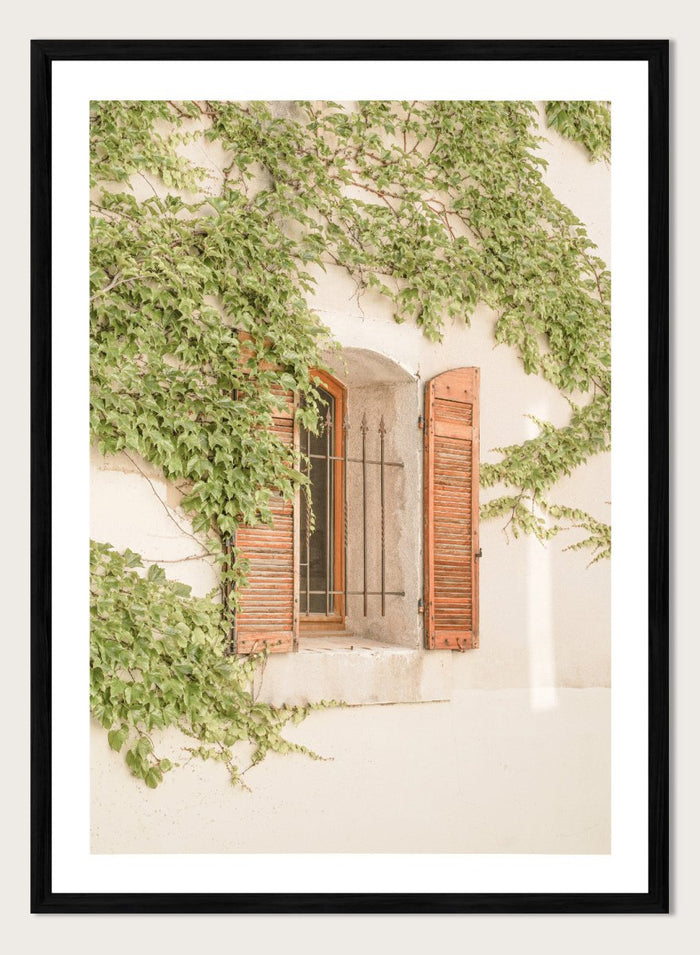Window with wooden shutters framed by climbing ivy on a light-colored wall. Rustic Window With Ivy by Henrike Schenk is a European photography print featuring historic architecture, blooming flowers, and Mediterranean charm.