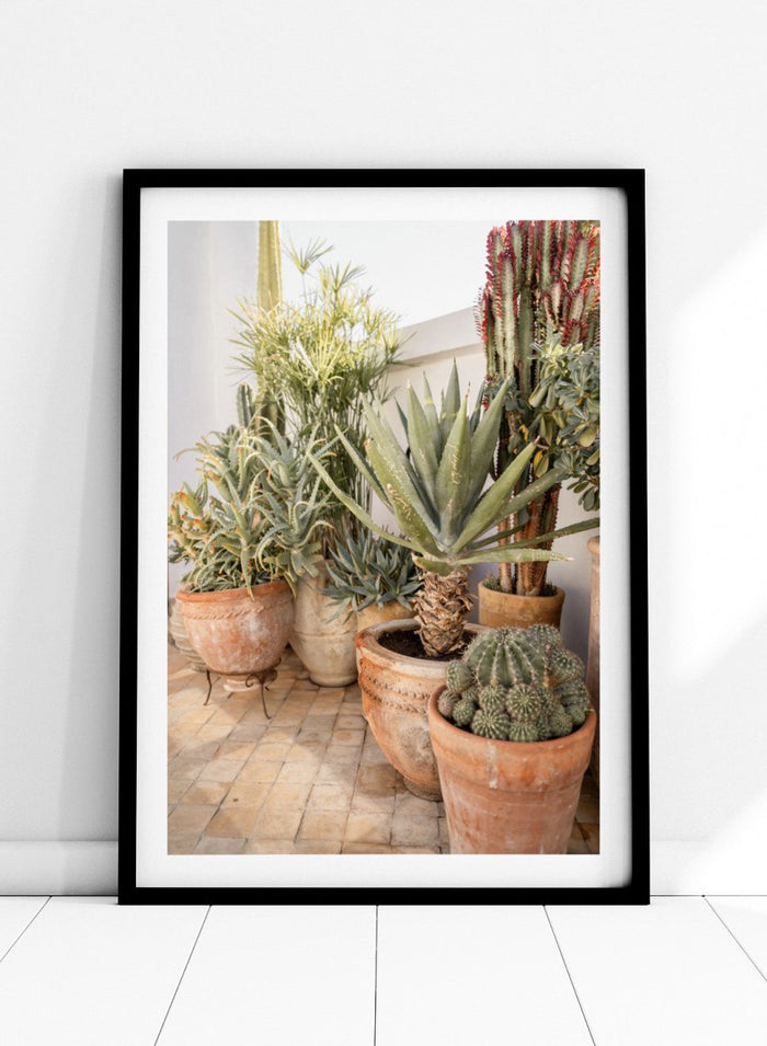 Collection of potted cacti and succulents on a patio. Sunny Desert Plant Garden by Henrike Schenk features cacti, agave, terracotta pots, and Moroccan garden styling in a warm botanical photography print.