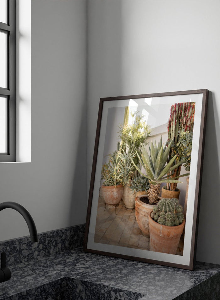Collection of potted cacti and succulents on a patio. Sunny Desert Plant Garden by Henrike Schenk features cacti, agave, terracotta pots, and Moroccan garden styling in a warm botanical photography print.