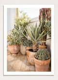 Collection of potted cacti and succulents on a patio. Sunny Desert Plant Garden by Henrike Schenk features cacti, agave, terracotta pots, and Moroccan garden styling in a warm botanical photography print.