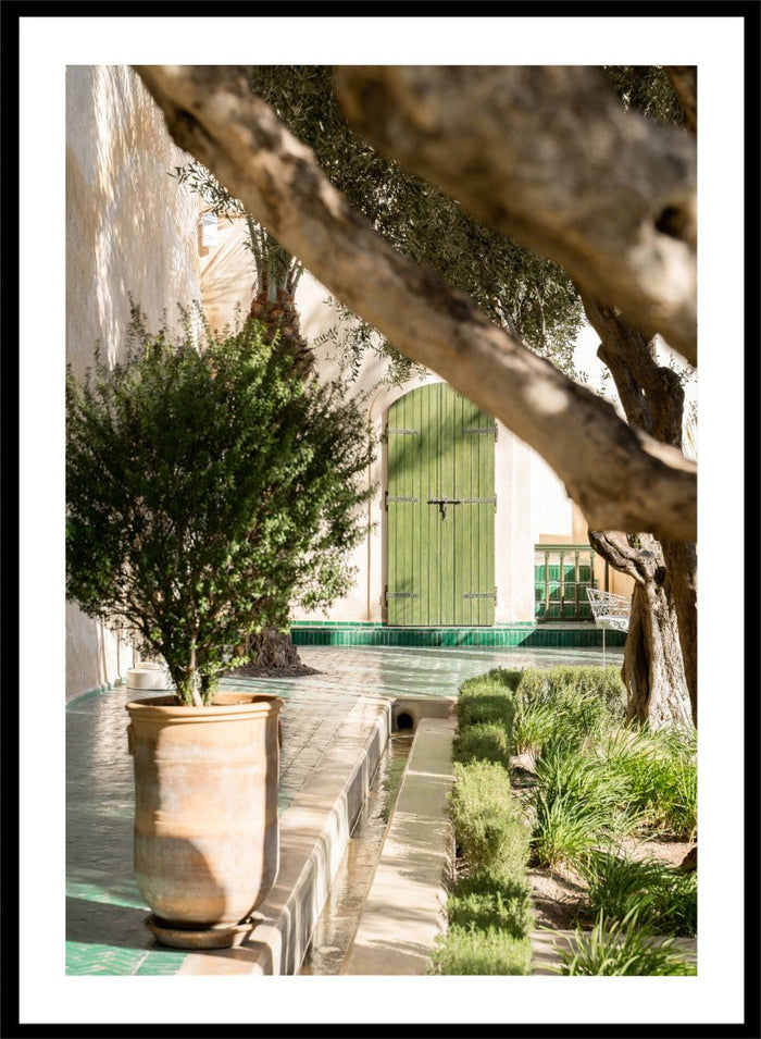 Potted plant in a garden with a green door and tree. Tranquil Garden Courtyard by Henrike Schenk is a Mediterranean photography print featuring a garden courtyard, green doorway, trees, and outdoor architecture.