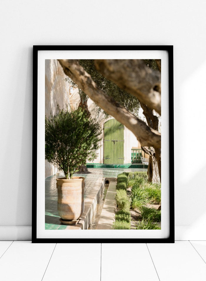 Potted plant in a garden with a green door and tree. Tranquil Garden Courtyard by Henrike Schenk is a Mediterranean photography print featuring a garden courtyard, green doorway, trees, and outdoor architecture.