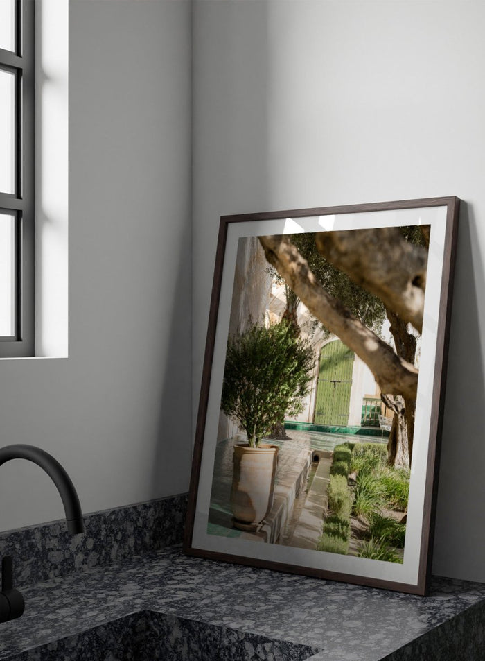 Potted plant in a garden with a green door and tree. Tranquil Garden Courtyard by Henrike Schenk is a Mediterranean photography print featuring a garden courtyard, green doorway, trees, and outdoor architecture.