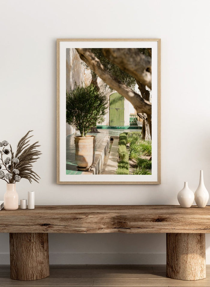 Potted plant in a garden with a green door and tree. Tranquil Garden Courtyard by Henrike Schenk is a Mediterranean photography print featuring a garden courtyard, green doorway, trees, and outdoor architecture.