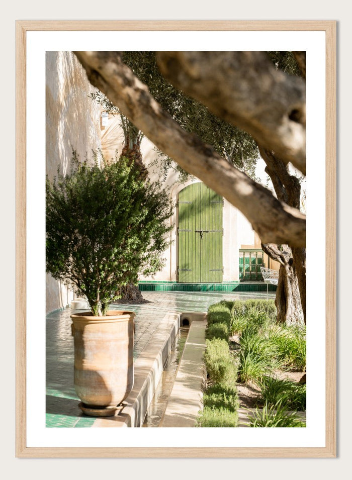 Potted plant in a garden with a green door and tree. Tranquil Garden Courtyard by Henrike Schenk is a Mediterranean photography print featuring a garden courtyard, green doorway, trees, and outdoor architecture.