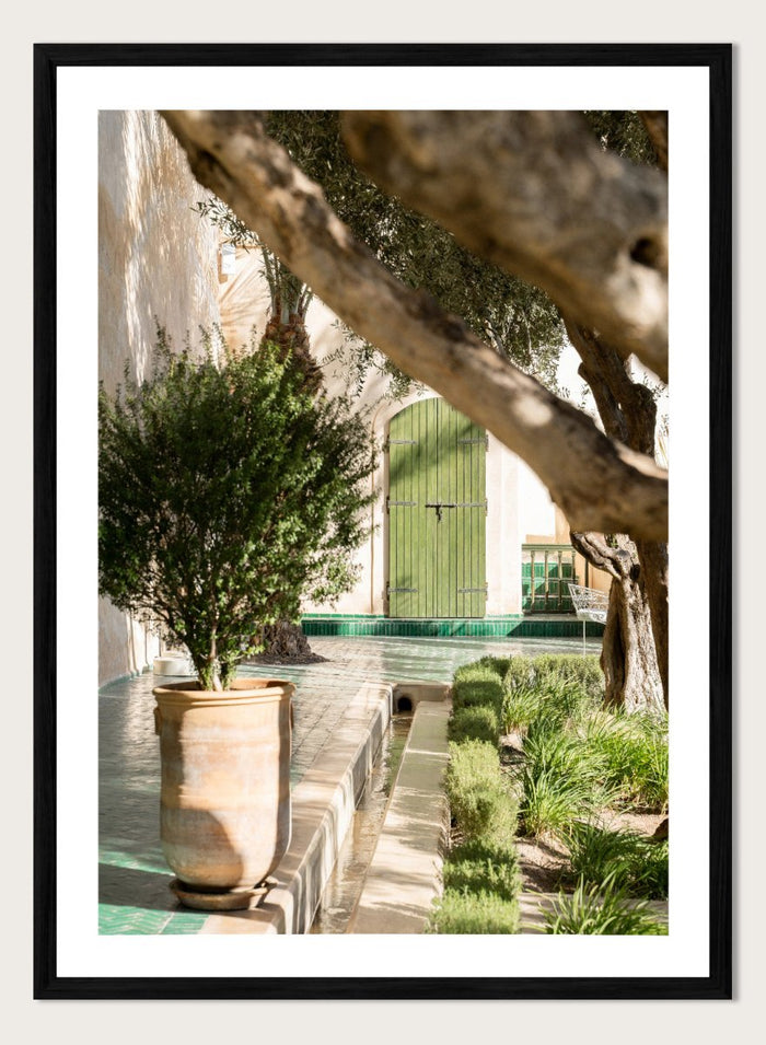 Potted plant in a garden with a green door and tree. Tranquil Garden Courtyard by Henrike Schenk is a Mediterranean photography print featuring a garden courtyard, green doorway, trees, and outdoor architecture.