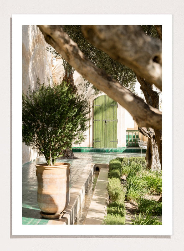Potted plant in a garden with a green door and tree. Tranquil Garden Courtyard by Henrike Schenk is a Mediterranean photography print featuring a garden courtyard, green doorway, trees, and outdoor architecture.