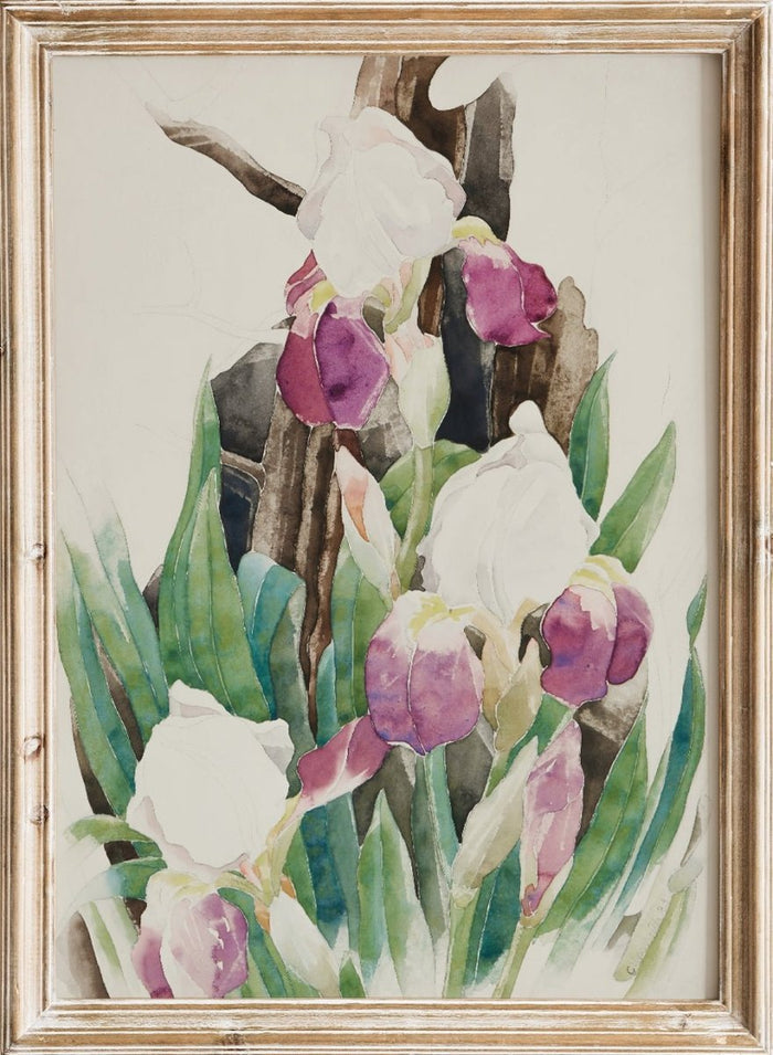 "Iris" Art Print_Sugar & Canvas_Charles Demuth