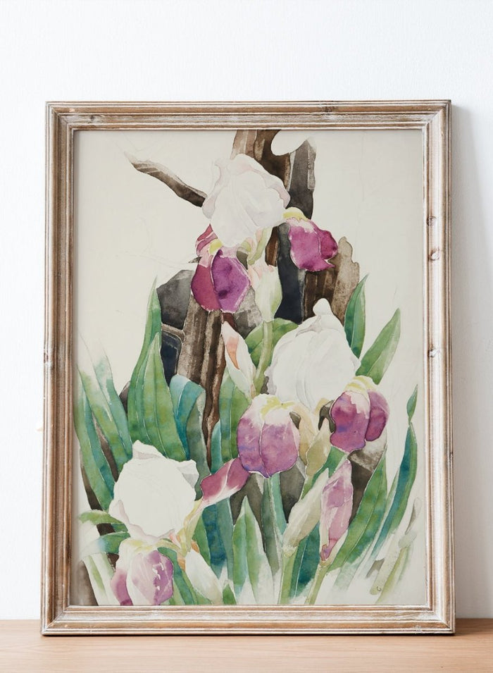 "Iris" Art Print_Sugar & Canvas_Charles Demuth