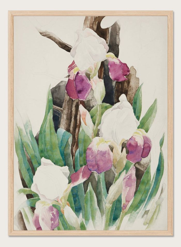 "Iris" Art Print_Sugar & Canvas_Charles Demuth