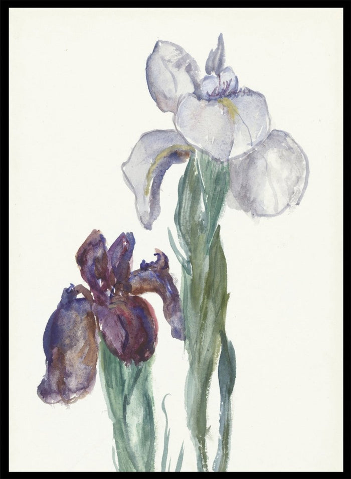 Irises by Sientje Mesdag-van Houten is a vintage botanical watercolor print of purple and white iris flowers, a soft floral piece for wall art and home decor.