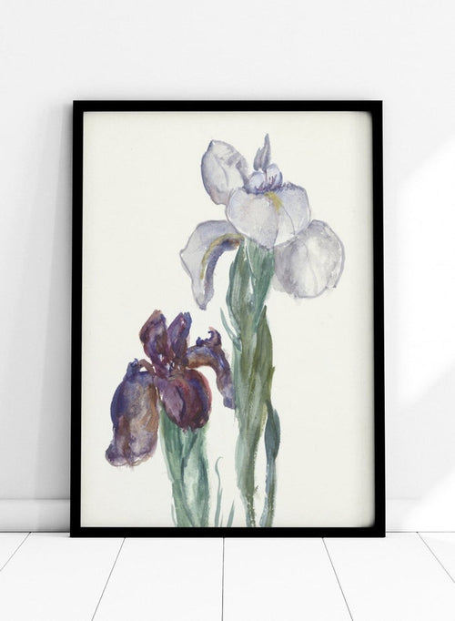 Irises by Sientje Mesdag-van Houten is a vintage botanical watercolor print of purple and white iris flowers, a soft floral piece for wall art and home decor.