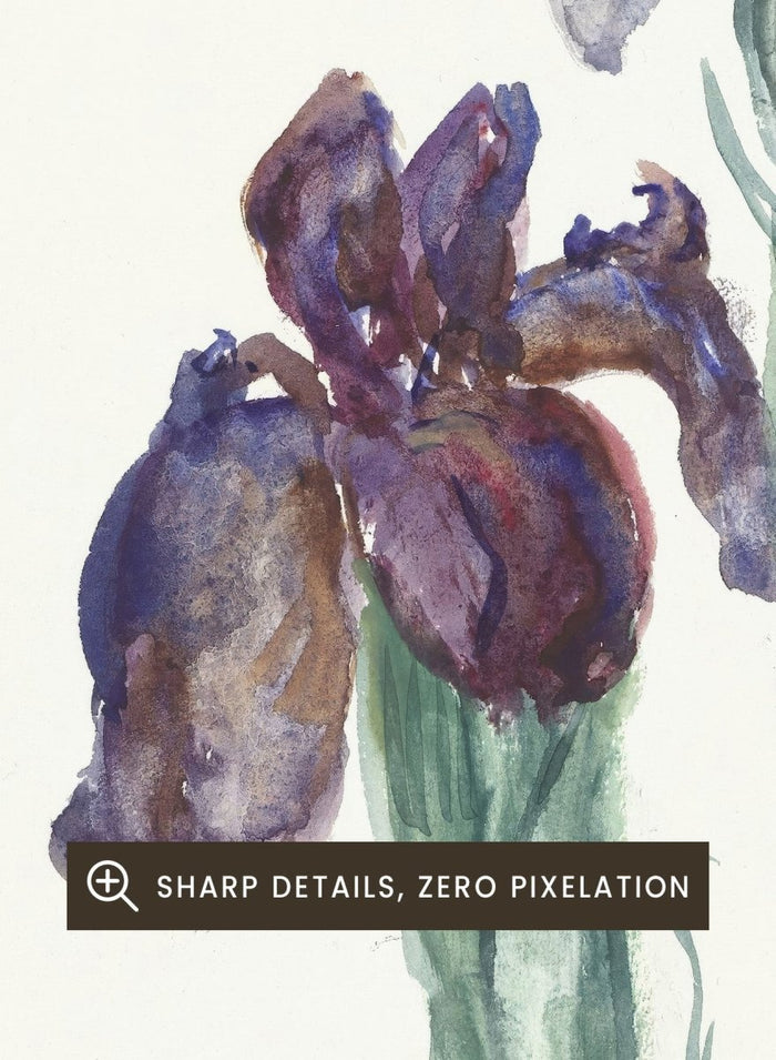 Irises by Sientje Mesdag-van Houten is a vintage botanical watercolor print of purple and white iris flowers, a soft floral piece for wall art and home decor.