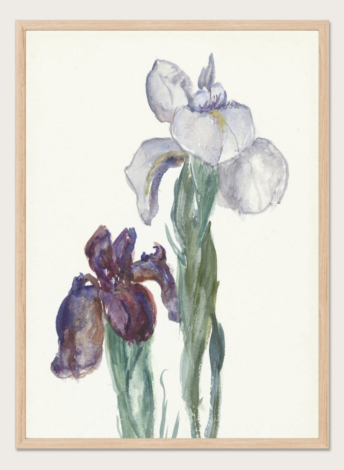 Irises by Sientje Mesdag-van Houten is a vintage botanical watercolor print of purple and white iris flowers, a soft floral piece for wall art and home decor.