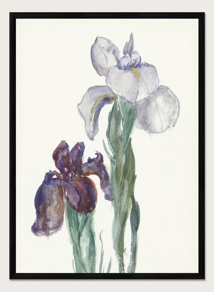 Irises by Sientje Mesdag-van Houten is a vintage botanical watercolor print of purple and white iris flowers, a soft floral piece for wall art and home decor.