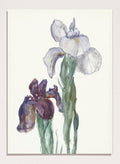 8x10 inches/20x25cm / Unframed Print Only
