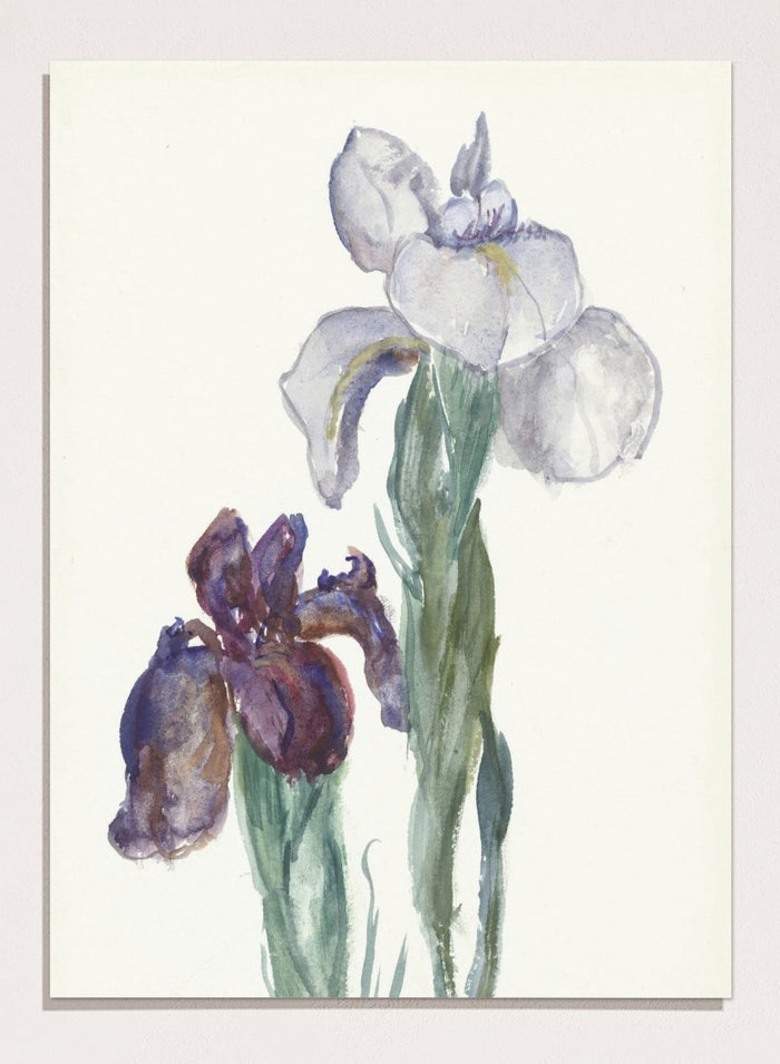 8x10 inches/20x25cm / Unframed Print Only