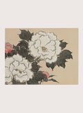 Kamisaka Sekka "Peonies" Art Print_Sugar & Canvas_Kamisaka Sekka