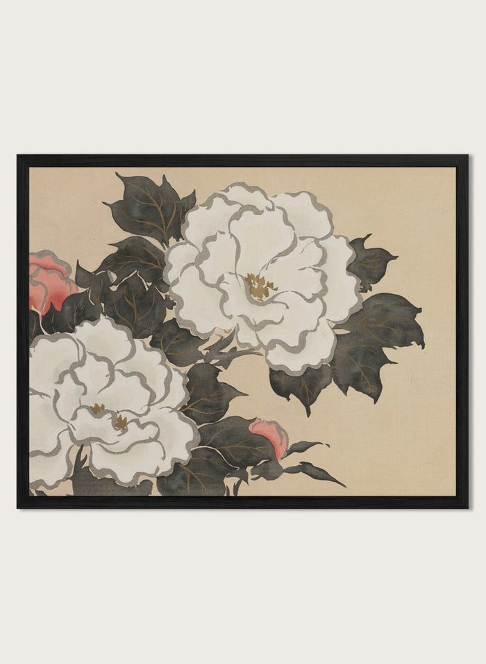 Kamisaka Sekka "Peonies" Art Print_Sugar & Canvas_Kamisaka Sekka