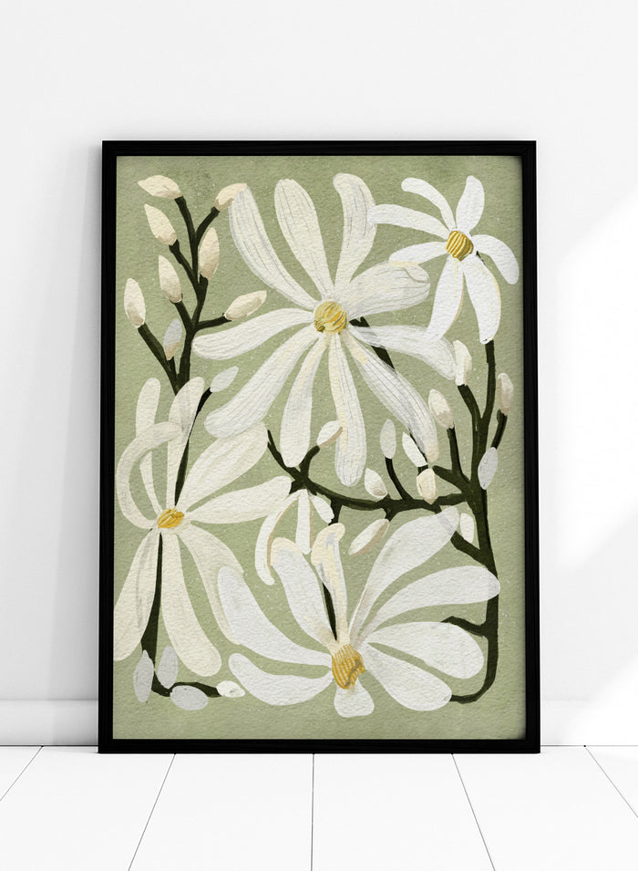 A botanical art print featuring white magnolia flowers with yellow centers and dark green stems on a muted sage green background. Shop Star Magnolia Floral Art Print by Katie O'Shea, a botanical floral art print featuring white magnolia blooms, dark branches, and a soft sage green background.
