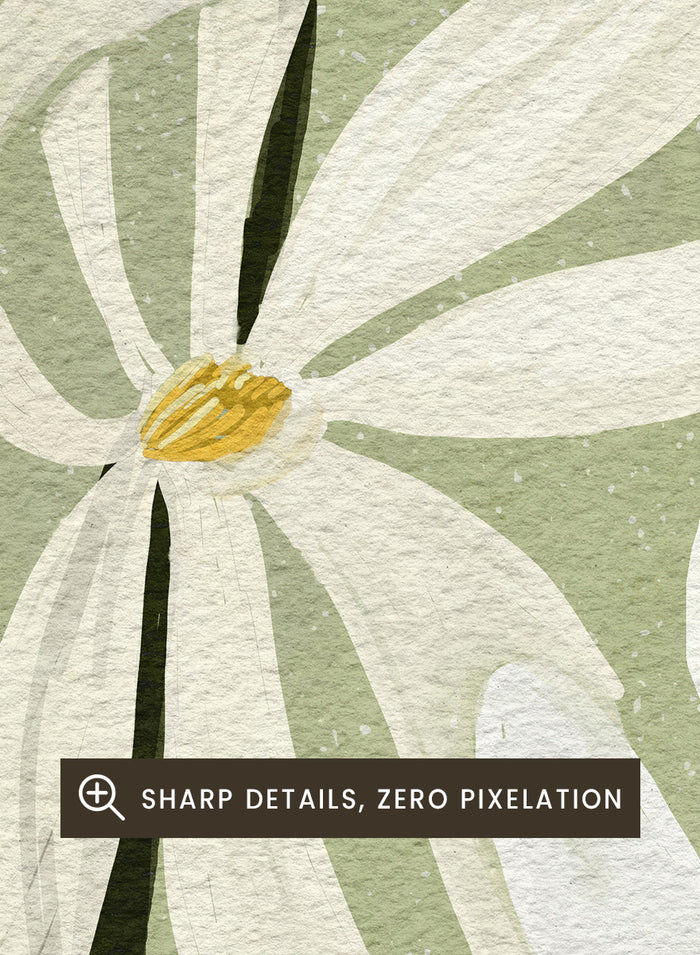 A botanical art print featuring white magnolia flowers with yellow centers and dark green stems on a muted sage green background. Shop Star Magnolia Floral Art Print by Katie O'Shea, a botanical floral art print featuring white magnolia blooms, dark branches, and a soft sage green background.