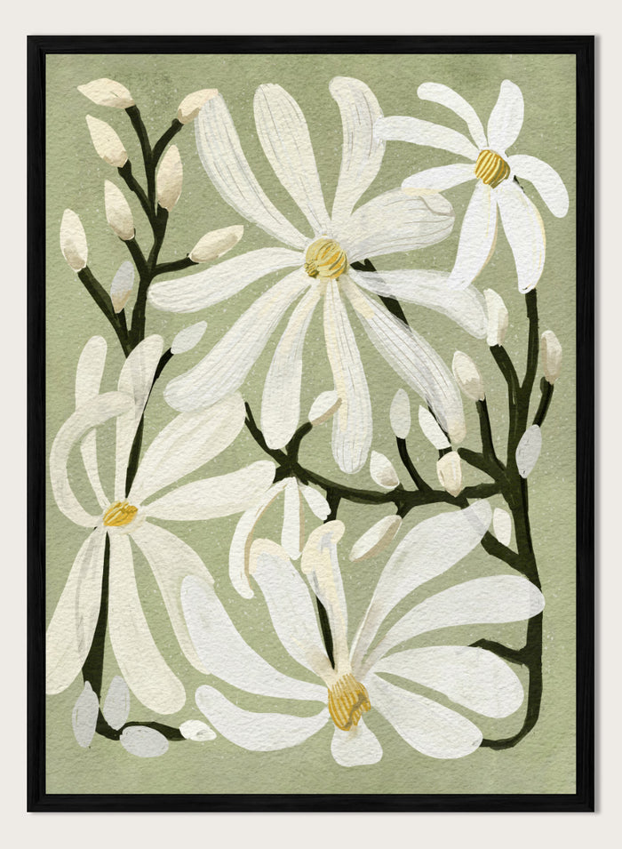 A botanical art print featuring white magnolia flowers with yellow centers and dark green stems on a muted sage green background. Shop Star Magnolia Floral Art Print by Katie O'Shea, a botanical floral art print featuring white magnolia blooms, dark branches, and a soft sage green background.