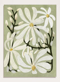 A botanical art print featuring white magnolia flowers with yellow centers and dark green stems on a muted sage green background. Shop Star Magnolia Floral Art Print by Katie O'Shea, a botanical floral art print featuring white magnolia blooms, dark branches, and a soft sage green background.